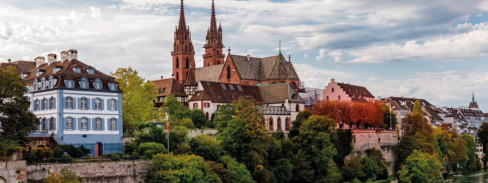 Foresta Nera, Basilea e Valli del Reno